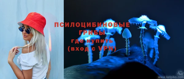 амф Алексин