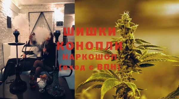 амф Алексин