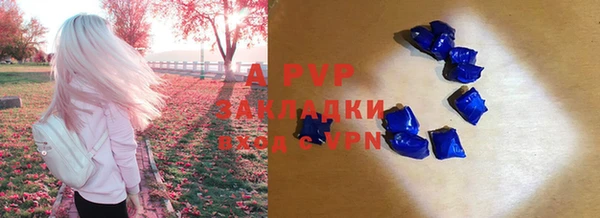 амф Алексин