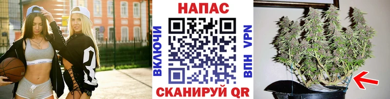 нарко площадка официальный сайт  Пыталово  Бошки марихуана LSD WEED  даркнет сайт 